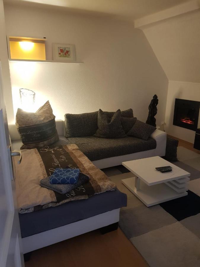 Apartment Am Suedpark Erfurt - Inkl Garten Mit Sitzlounge - Zentrumsnah מראה חיצוני תמונה
