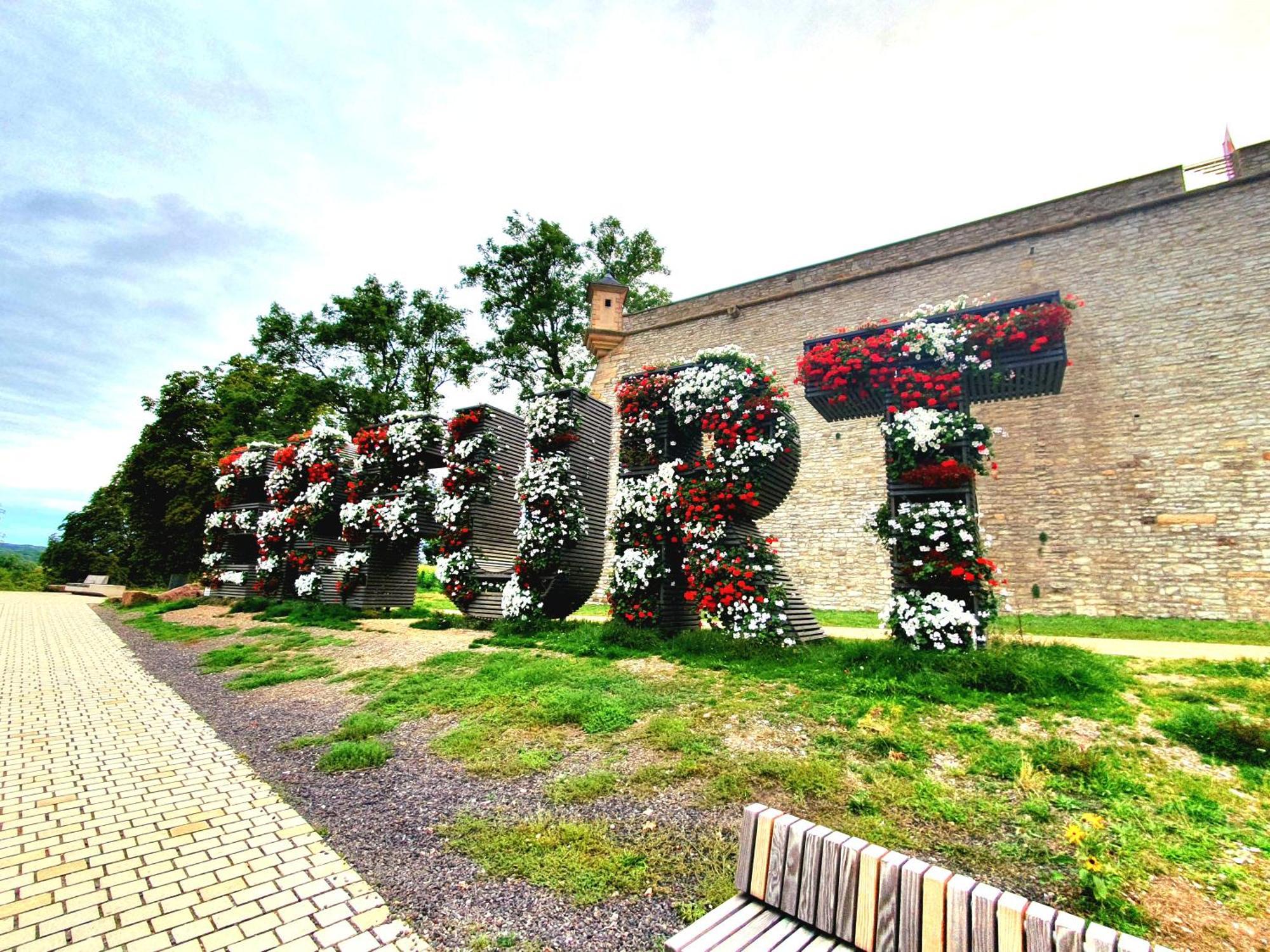 Apartment Am Suedpark Erfurt - Inkl Garten Mit Sitzlounge - Zentrumsnah מראה חיצוני תמונה